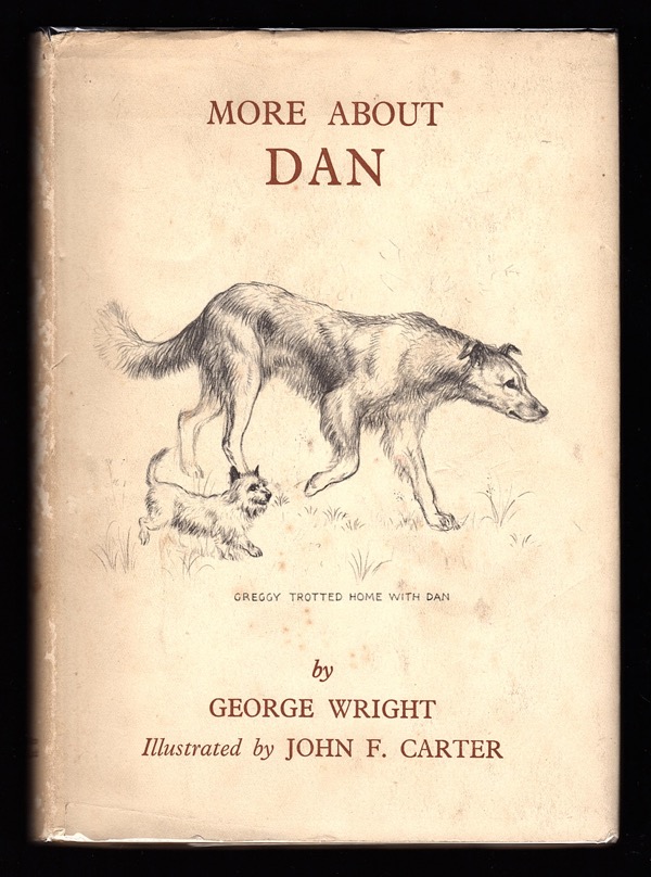 Image for MORE ABOUT DAN