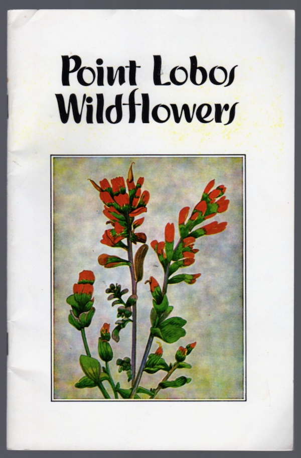 Image for POINT LOBOS WILDFLOWERS POINT LOBOS WILDFLOWERS